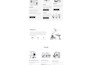 make your website fully responsive and mobile optimized